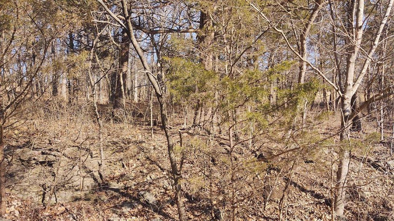 9618 Greenview Ct, Hillsboro, MO 63050