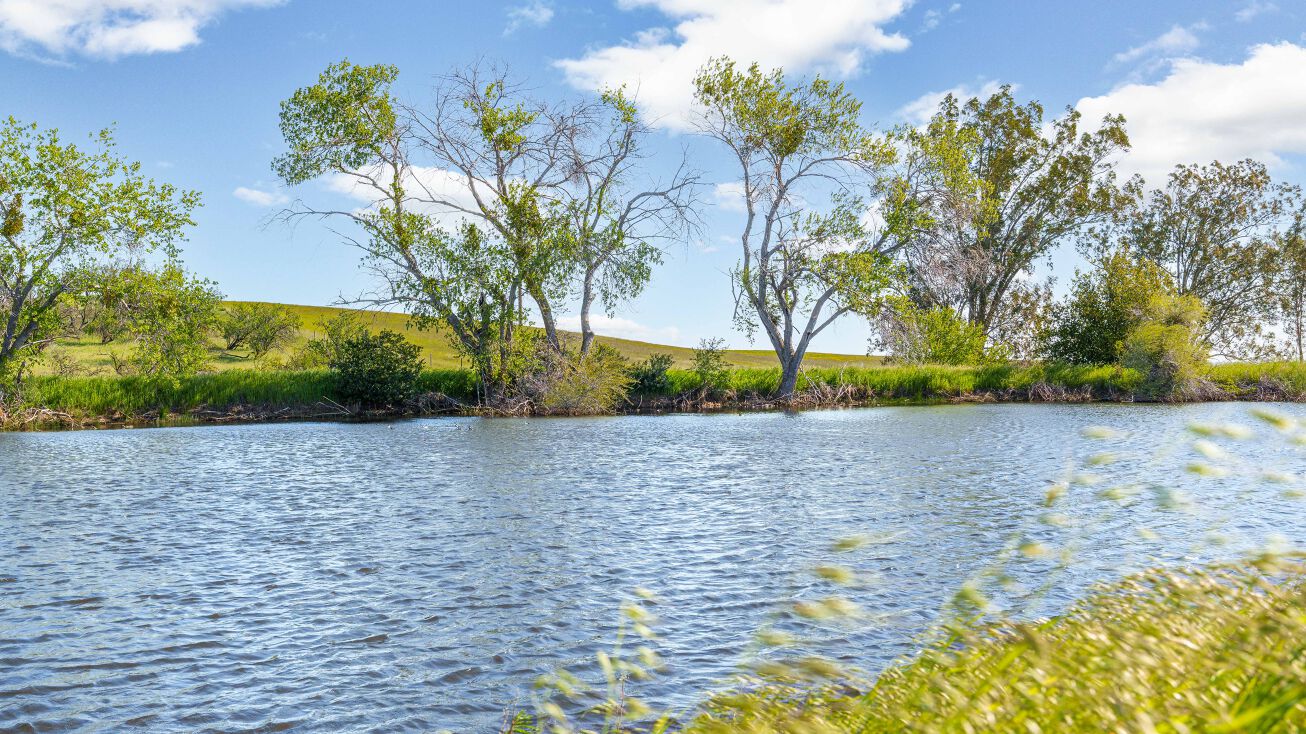 24492 Co Rd 23A, Esparto, CA 95627