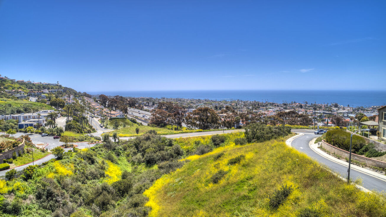 110 El Levante, San Clemente, CA 92672