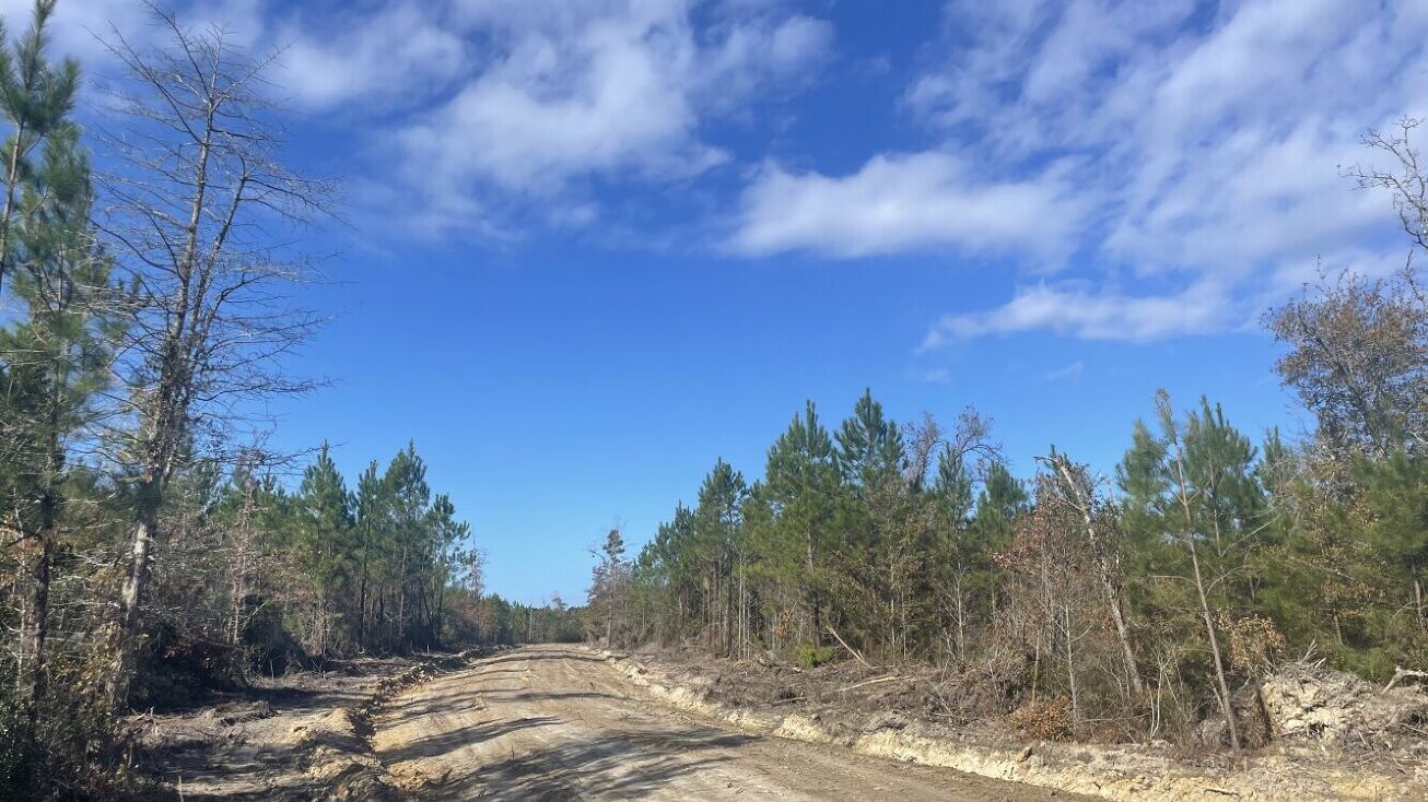 Weenee Rd, Jamestown,, SC 29453