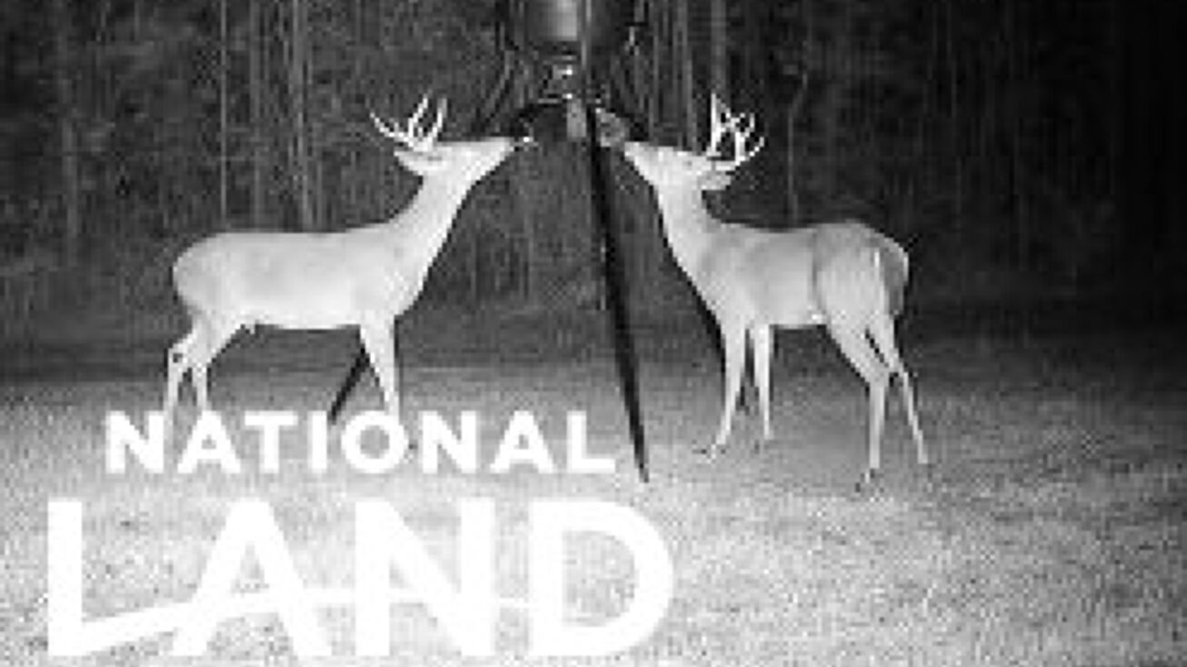 Baughman Rd, Poplarville, MS 39470