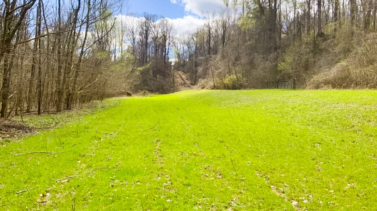 MS12, Lexington, MS 39095 Land for Sale Lexington Cattle and