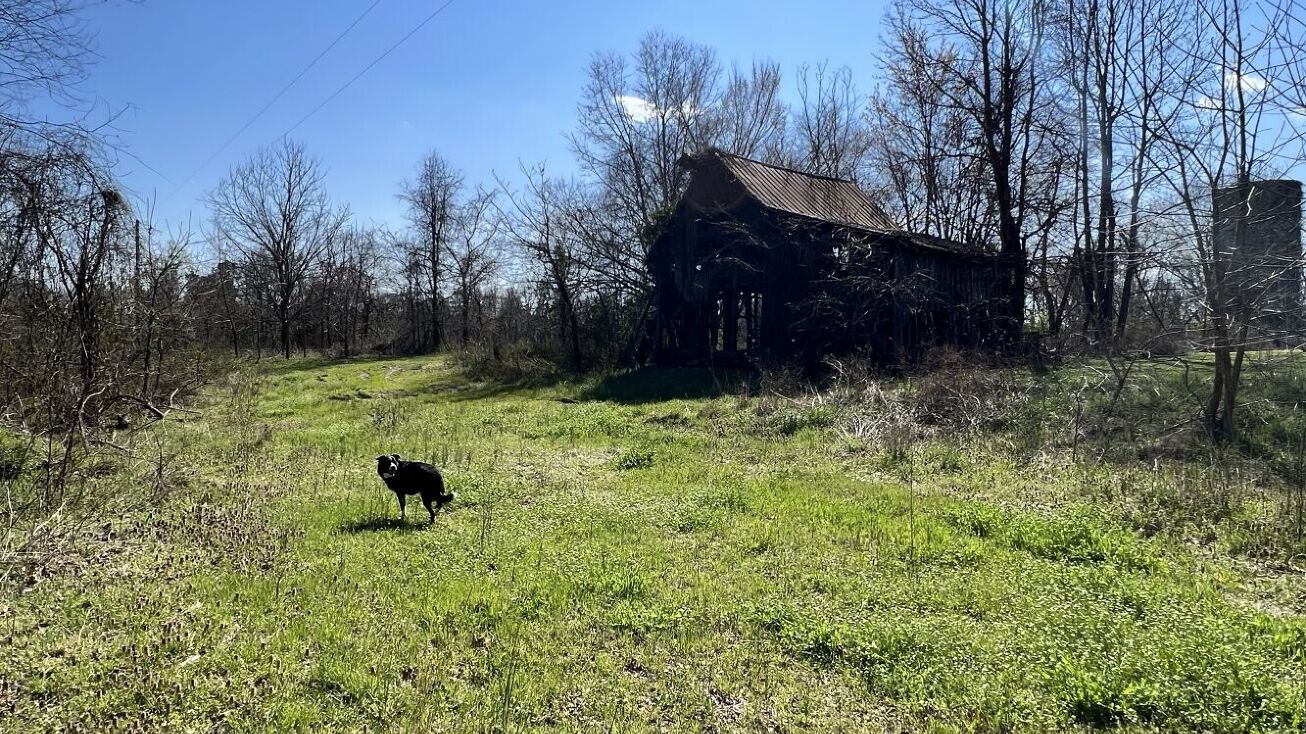 13408 Continental Rd, Wilsons, VA 23894