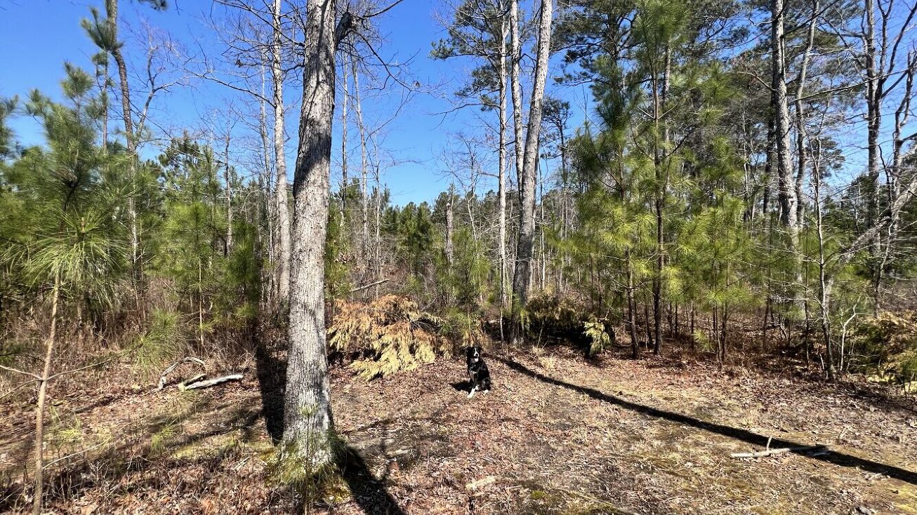 6900 Cogbill Rd, Chesterfield, VA 23832