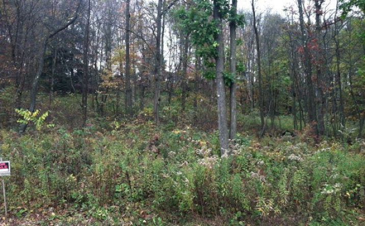 Pictures of Land property located at 51 Shelby Lane, Shippenville, PA 16254 for sales - image #1