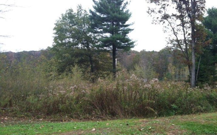 Pictures of Land property located at 76 Shelby Lane, Shippenville, PA 16254 for sales - image #1