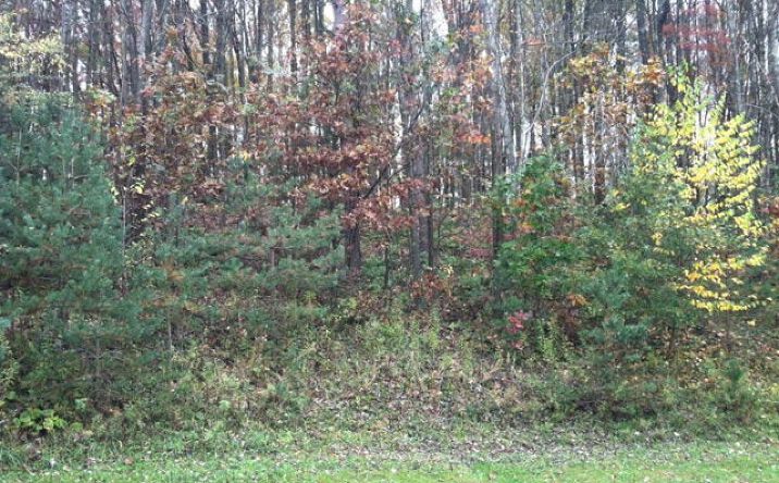 Pictures of Land property located at 65 Lydia Lane, Shippenville, PA 16254 for sales - image #1