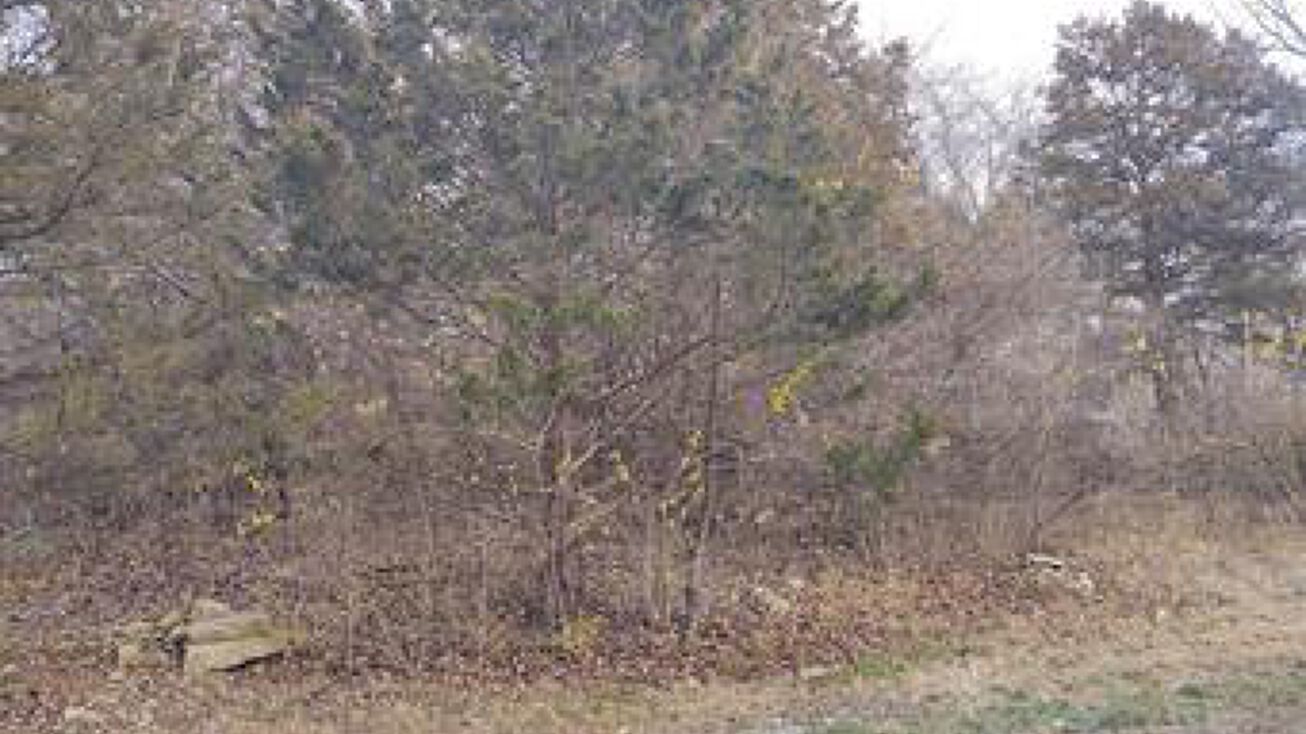 Pictures of Land property located at lot 45 Fernwood, House Springs, MO