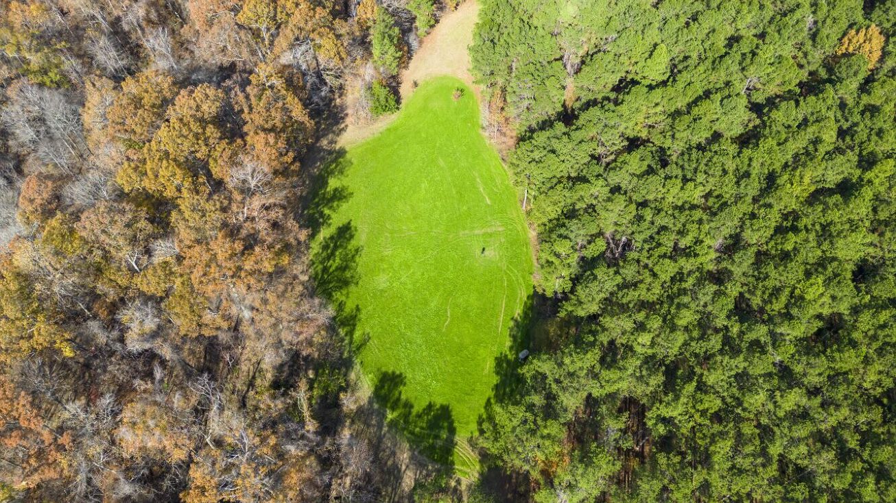 100 Russelville Rd, Bentonia, MS 39040 Land for Sale The Big Haven