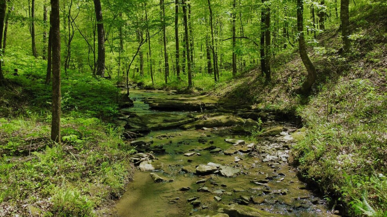 7678 Old Mt Olive Rd, Gardendale, AL 35071 Land for Sale Whites