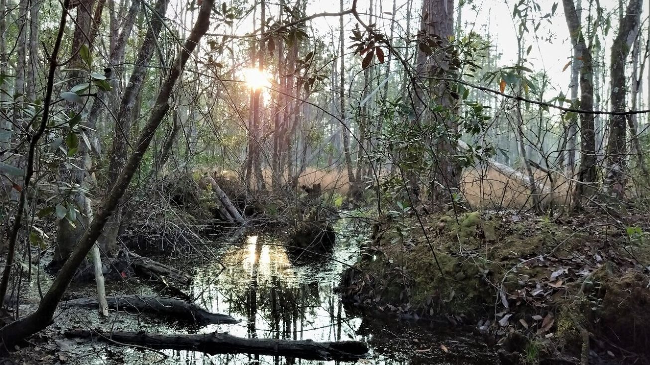 Shorewood St, FL 32139 Land for Sale