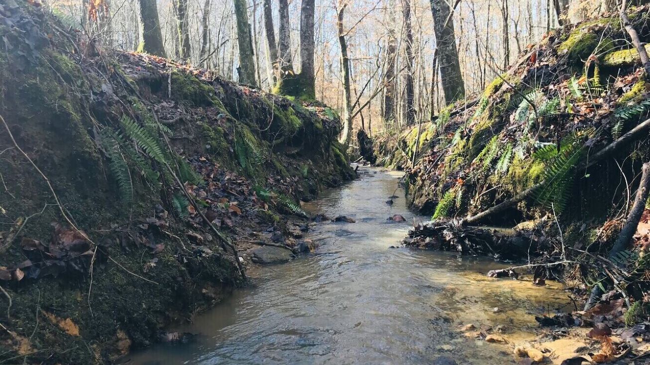 1030 Providence Church Rd, Tallapoosa, GA 30176