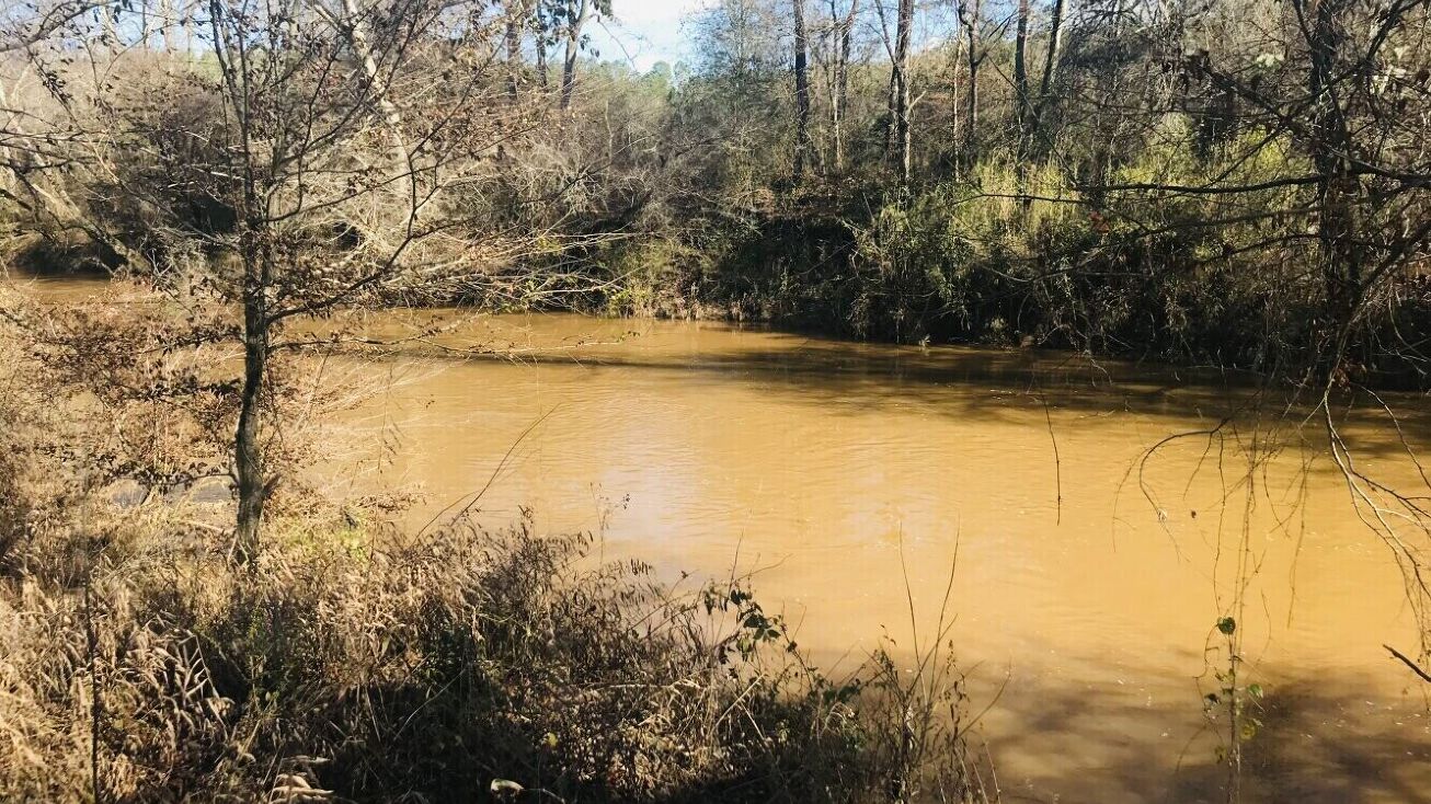 0 Steadman Road Tract 64, Tallapoosa, GA 30176