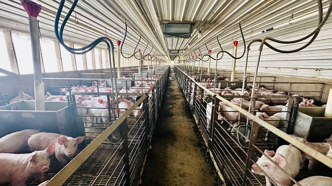 320 Avery Road, Dover, NC 28526