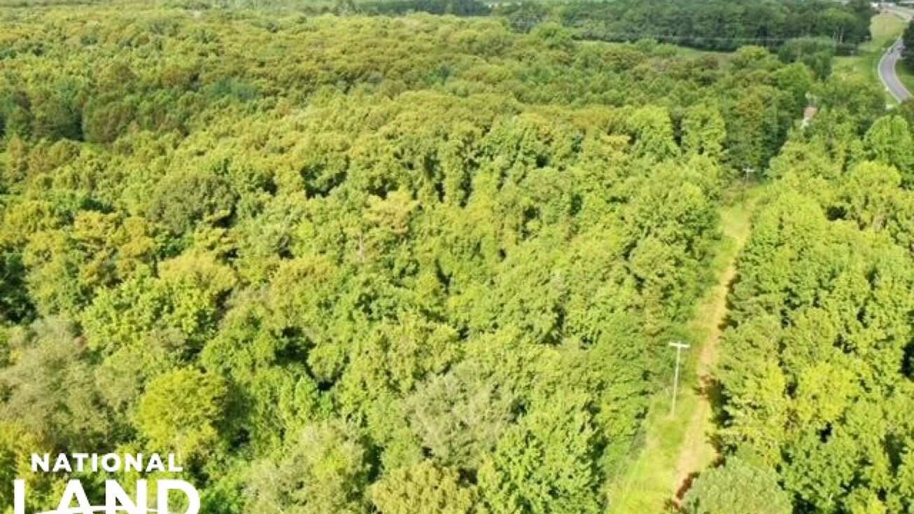 Pictures of Land property located at 0 Hwy 70 East, Kinston, NC 28501