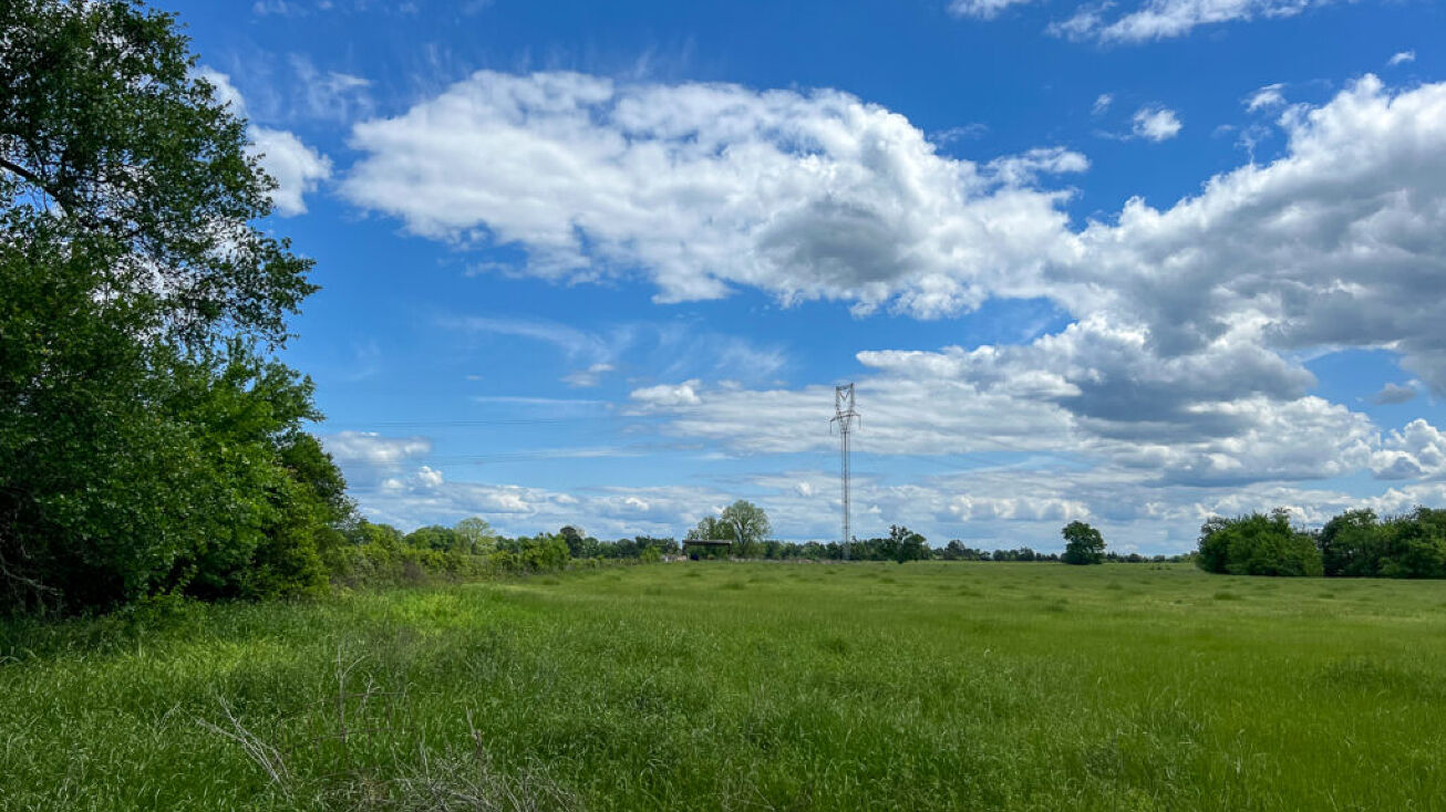 County Road 3620, Lovelady, TX 75851 Land for Sale 13 Acres T13A