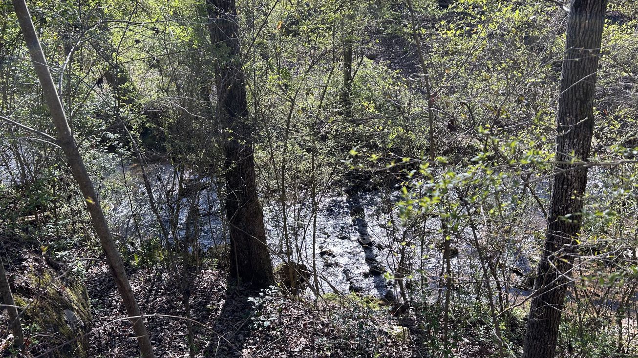 1154 Gold Mine Rd, Dawsonville, GA 30534 Land for Sale Gold Mine