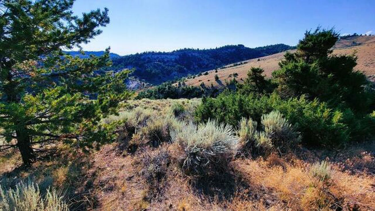 67 Badger Blvd, Meeteetse, WY 82433