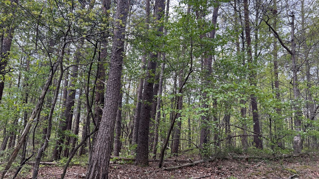 9 Deerfield Estates, Fairmount, GA 30139