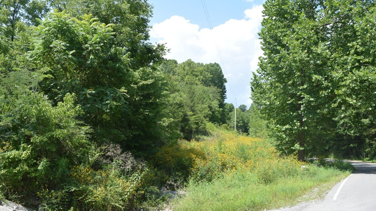 3400 Sycamore Creek Rd, Woodbury, TN 37190