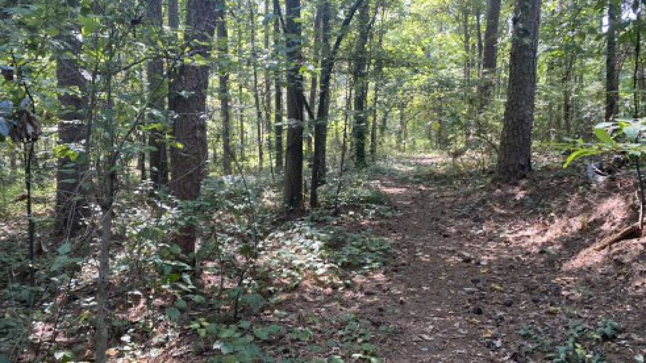 Birch Ln, Toccoa, GA 30577 Land for Sale Birch Lane Tract