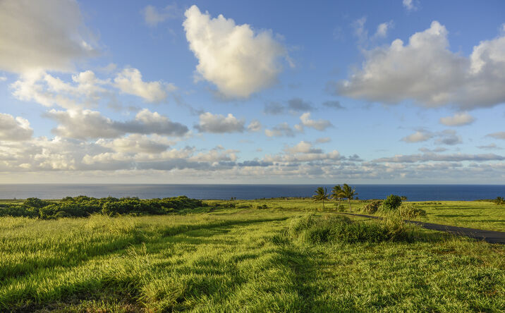 Pictures of Land property located at 610 Kai Huki Cir #Lot 13, Haiku-Pauwela, HI 96708 for sales - image #1