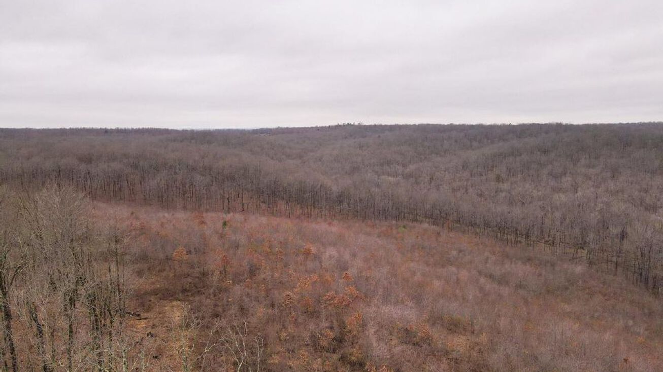 Highway Z, Wappapello, MO 63966