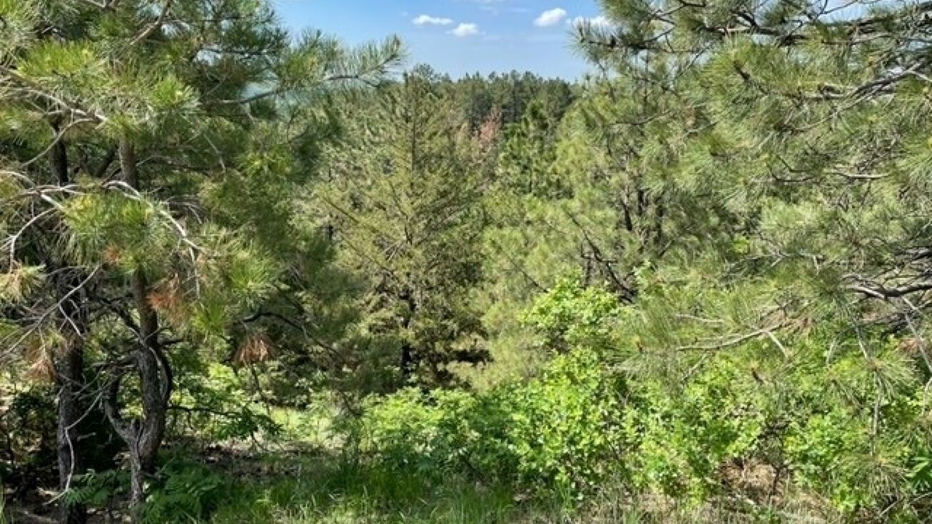 Springview, Springview, NE 68778