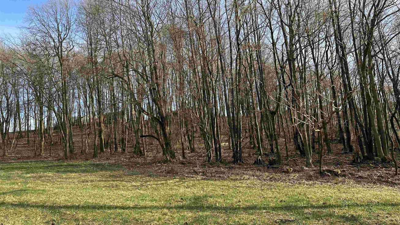 Mayfield Road WV 26508