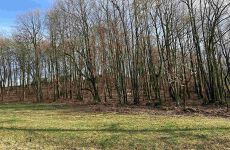 10876375