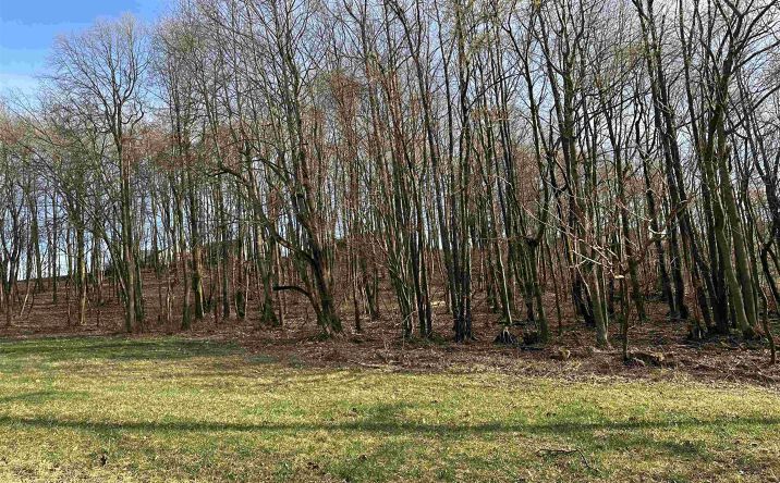Pictures of Land property located at Mayfield Road Morgantown, Morgantown, WV 26508 for sales - image #1
