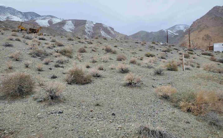 Pictures of Land property located at 443 Betty Jane Dr, Walker Lake, NV 89415 for sales - image #1