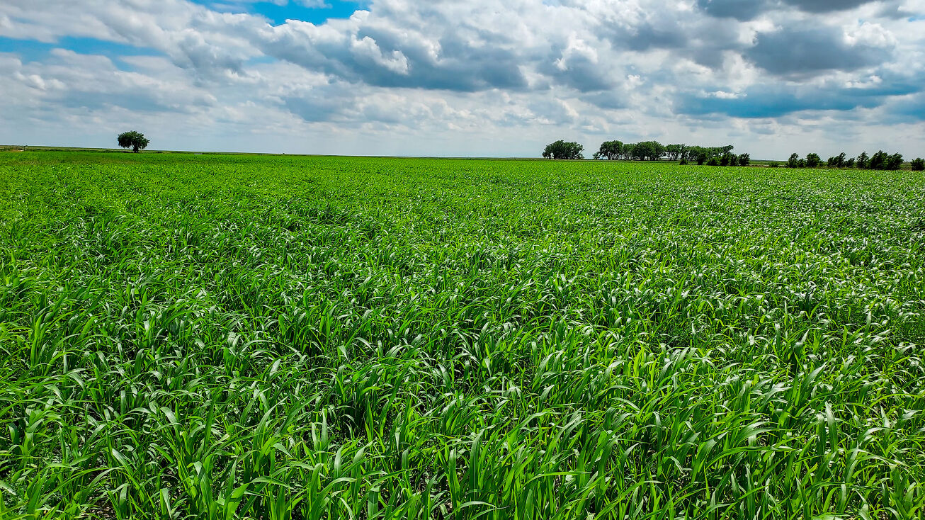 34510 Co Rd KK, La Junta, CO 81050