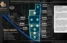 23155876