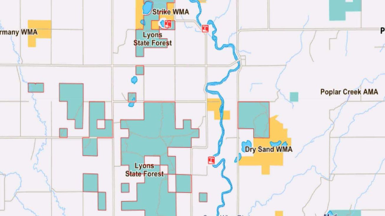 Bullard Bluff Rd, Staples, MN 56479 Land for Sale Hunting Land