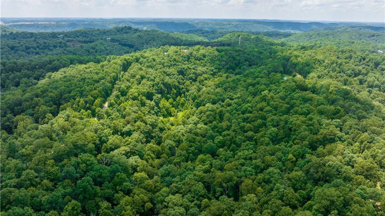 Hidden Farms, Poca, Poca, WV 25159