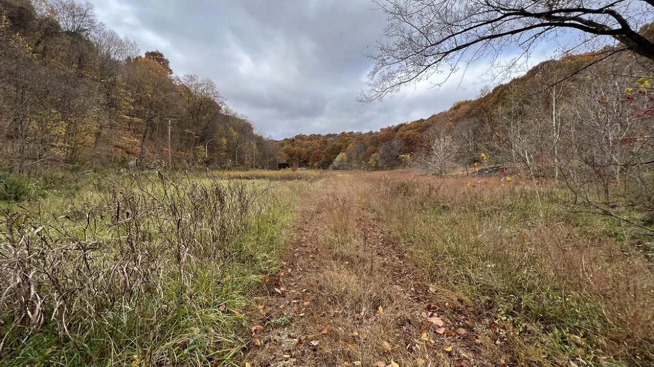 111 Mansbach Dr, Greenup, KY 31144