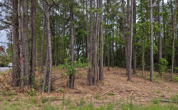 Pictures of Land property located at 2520 Henderson Dr, Jacksonville, NC 28546 for sales - image #1