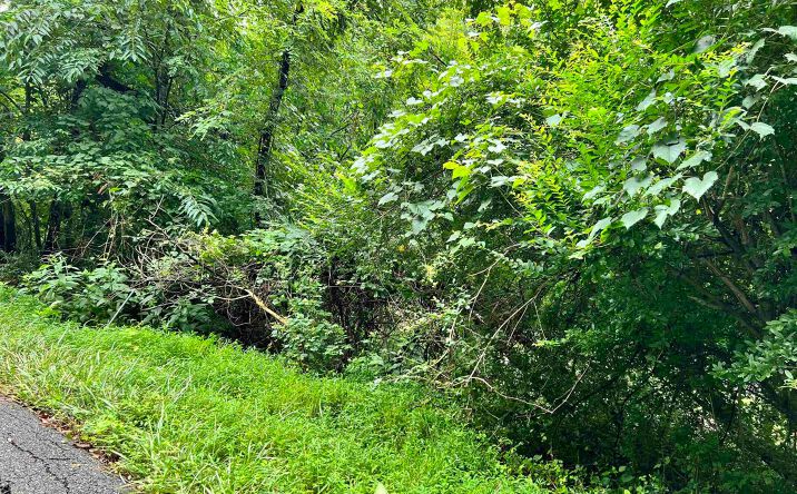 Pictures of Land property located at 1662 Cook School Rd, Huntington, WV 25701 for sales - image #1
