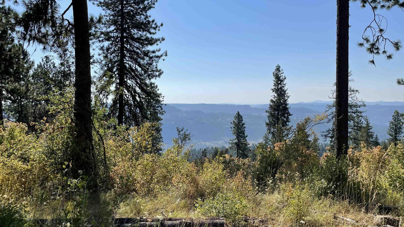 Pictures of Land property located at TBD Dent Bridge Rd, Orofino, ID 83544 for sales image 1