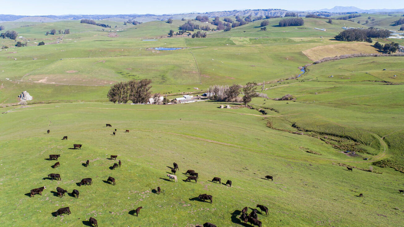 28200 CA1, Tomales, CA 94971