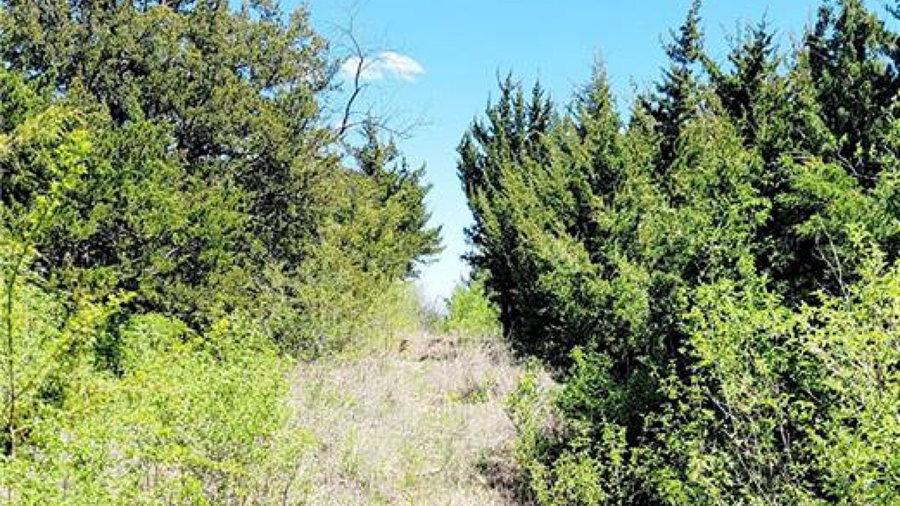 Lot 1 Route 3 N/A, Iola, KS 66749 Land for Sale Lot 1 Route 3 N/A