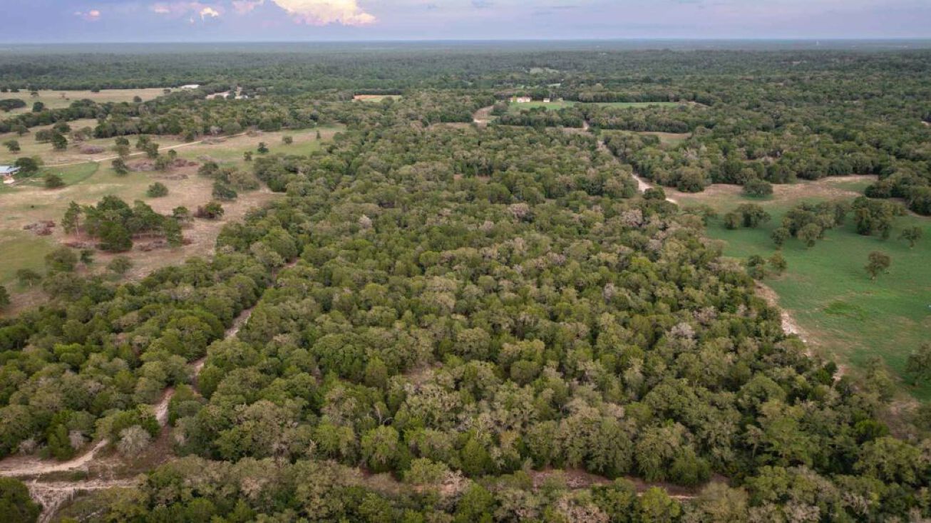 208 Newcastle Drive, Red Rock, TX 78662 Land for Sale Pine Castle Ranch