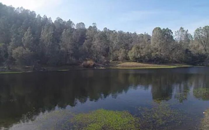 Pictures of Land property located at 50871 Rd 200, O'Neals, CA 93645, 50891 Rd 200, O'Neals, CA 93645, 50881 Rd 200, O'Neals, CA 93645 for sales - image #1