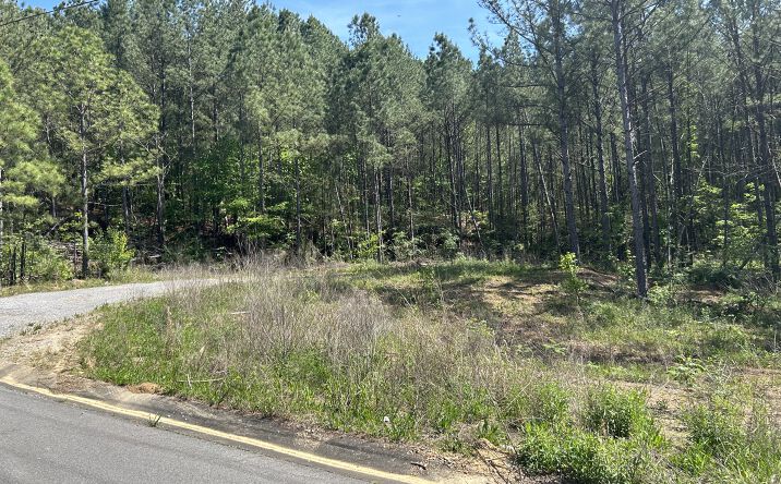 Pictures of Land property located at 585 Simmons Dr, Trussville, AL 35173 for sales - image #1