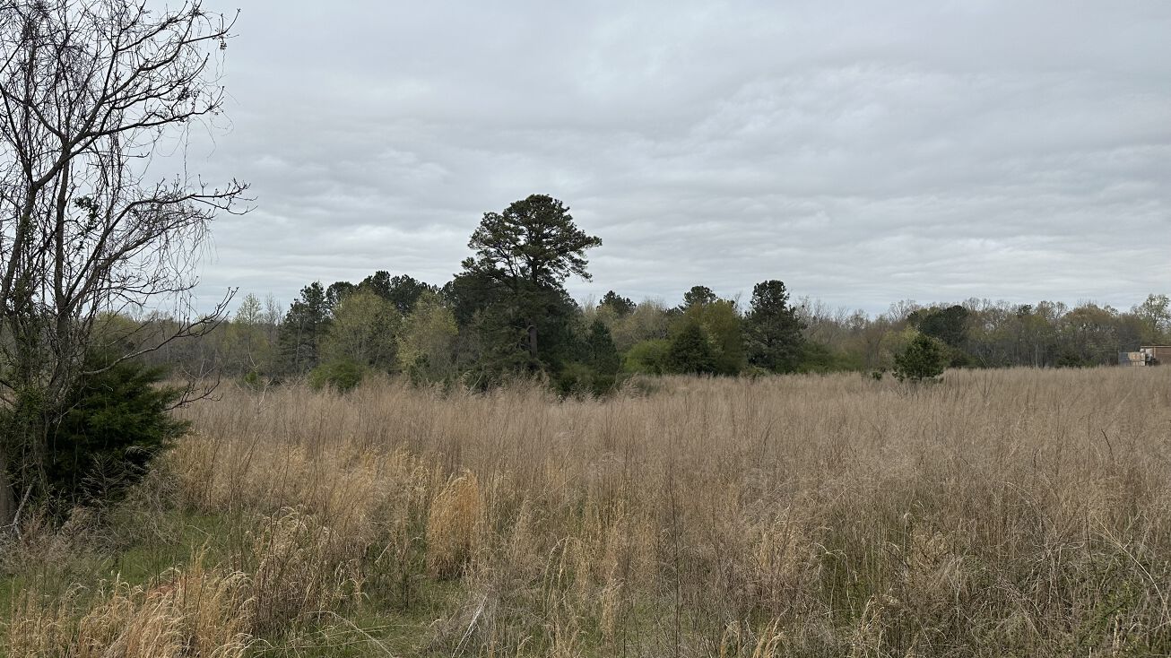 140 Whitetail Wy, Bogart, GA 30622