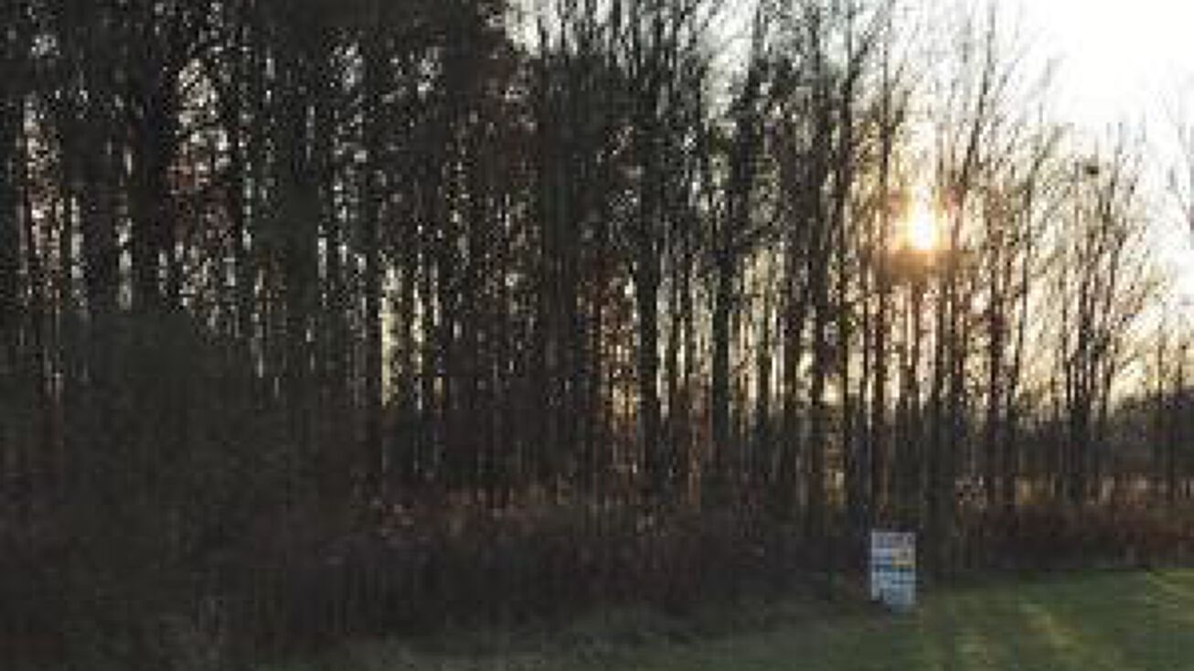 0 W Newmans Cardington Road, Prospect, OH 43342