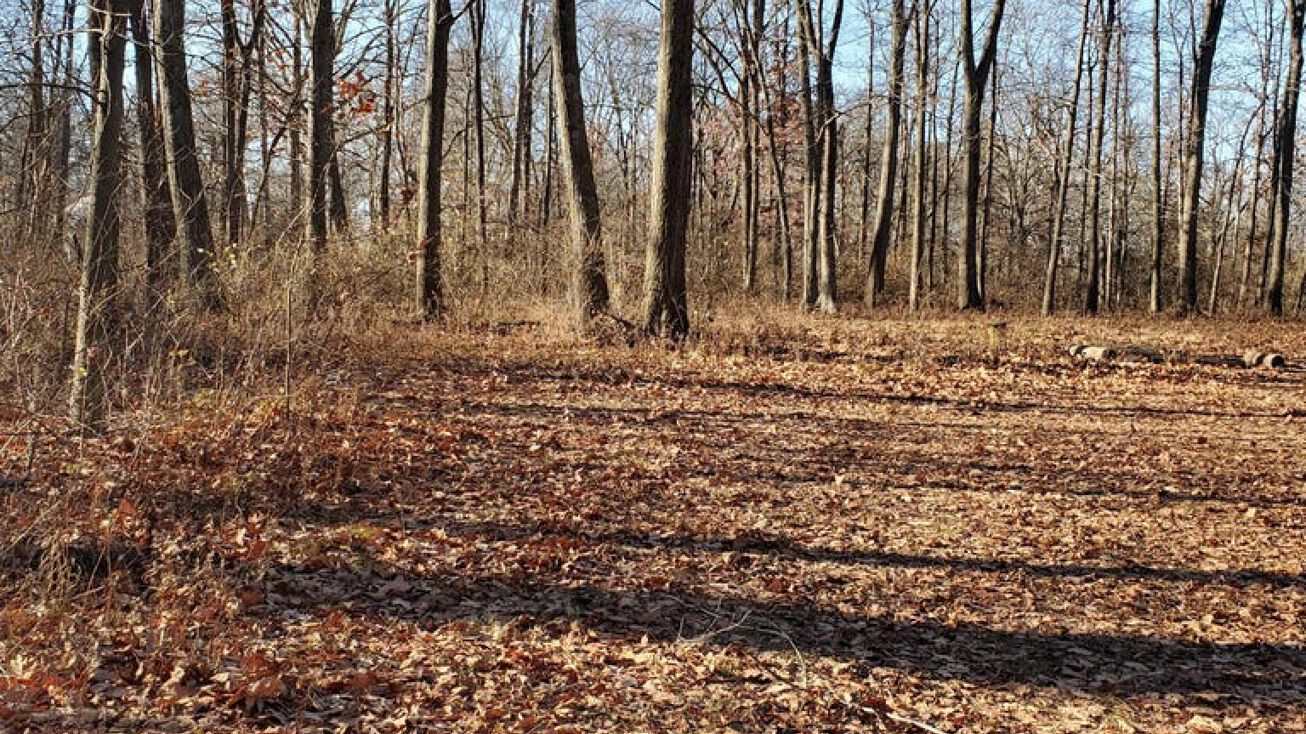 4440 Deer Creek Lane, Summerford, OH 43140