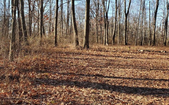 Pictures of Land property located at 4440 Deer Creek Lane, London, OH 43140 for sales - image #1