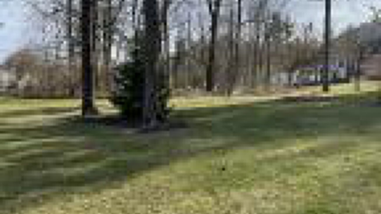 Pictures of Land property located at 1408 Whispering Pines Lane